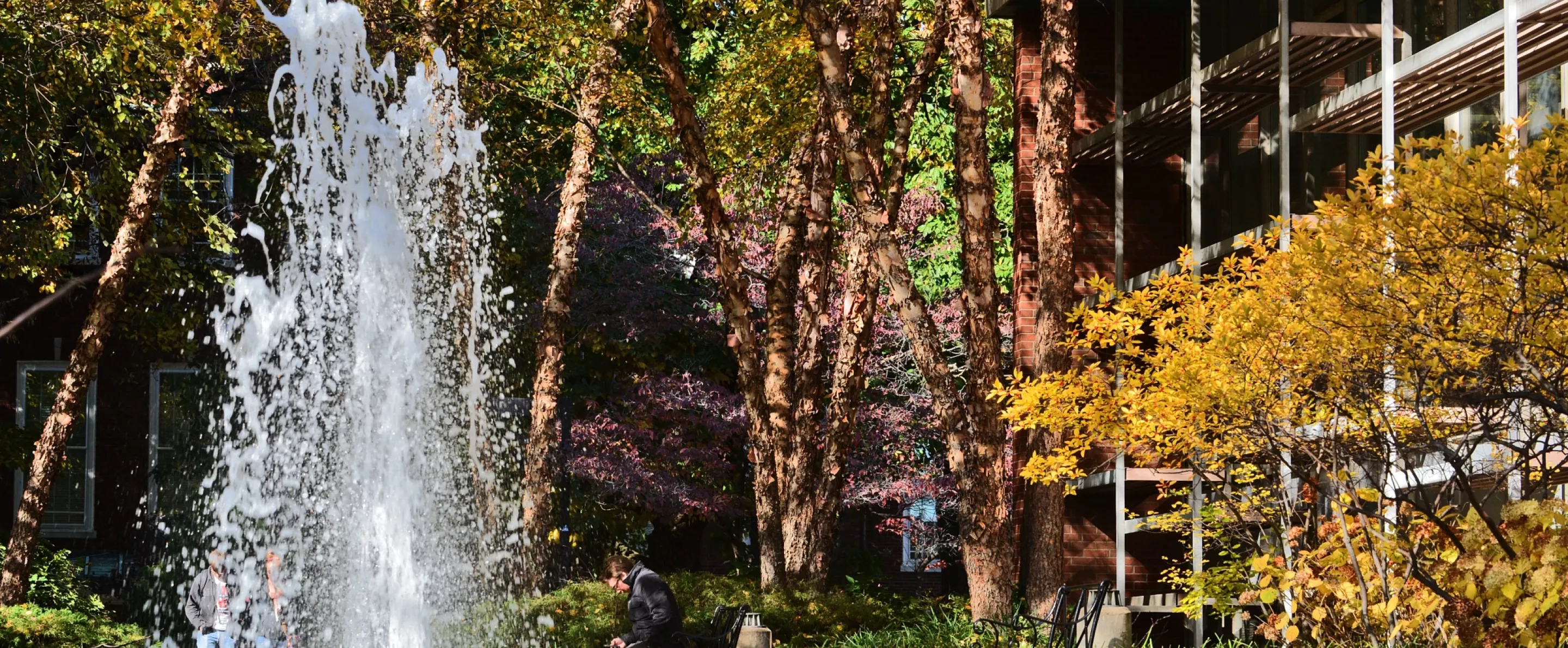 Man sitting in front of Schneider Hall fountain in fall