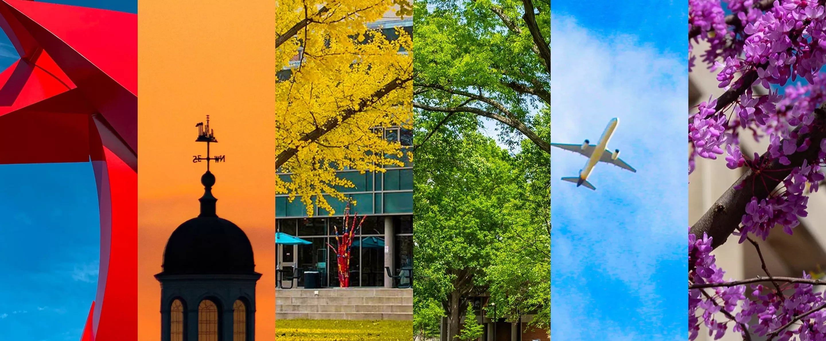 UofL photos highlighting a rainbow of red, orange, yellow, green, blue, and purple. From left to right columns of photos of a UofL sculpture, a sunset, a yellow tree in fall, a green tree in summer, a plane in blue sky, and purple flowers on a tree.