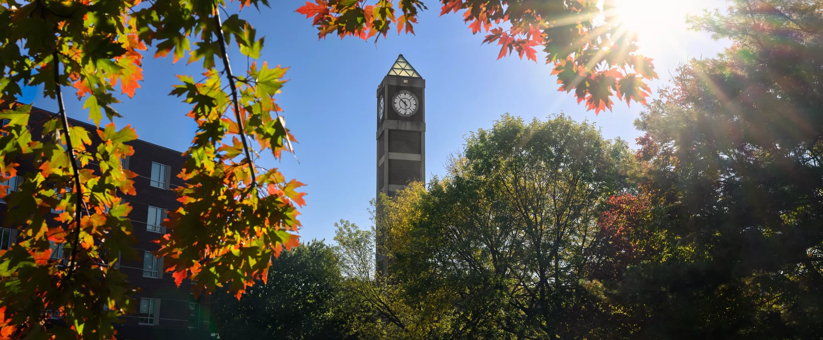 Close-up detail of multi-colored fall leaves on a tree branch with the Student Activities Center clock tower in the…