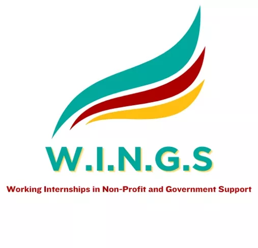 WINGS - Working internships in Non-Profit and Government Support