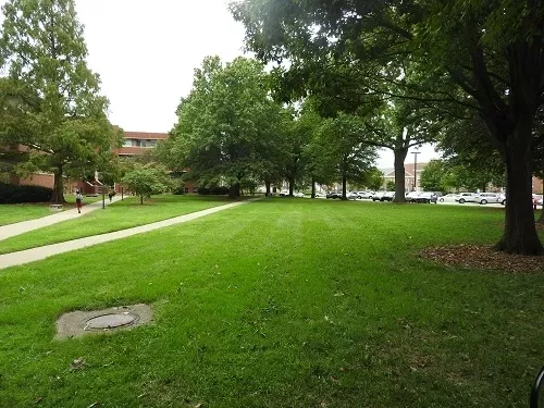 Natural Sciences Lawn