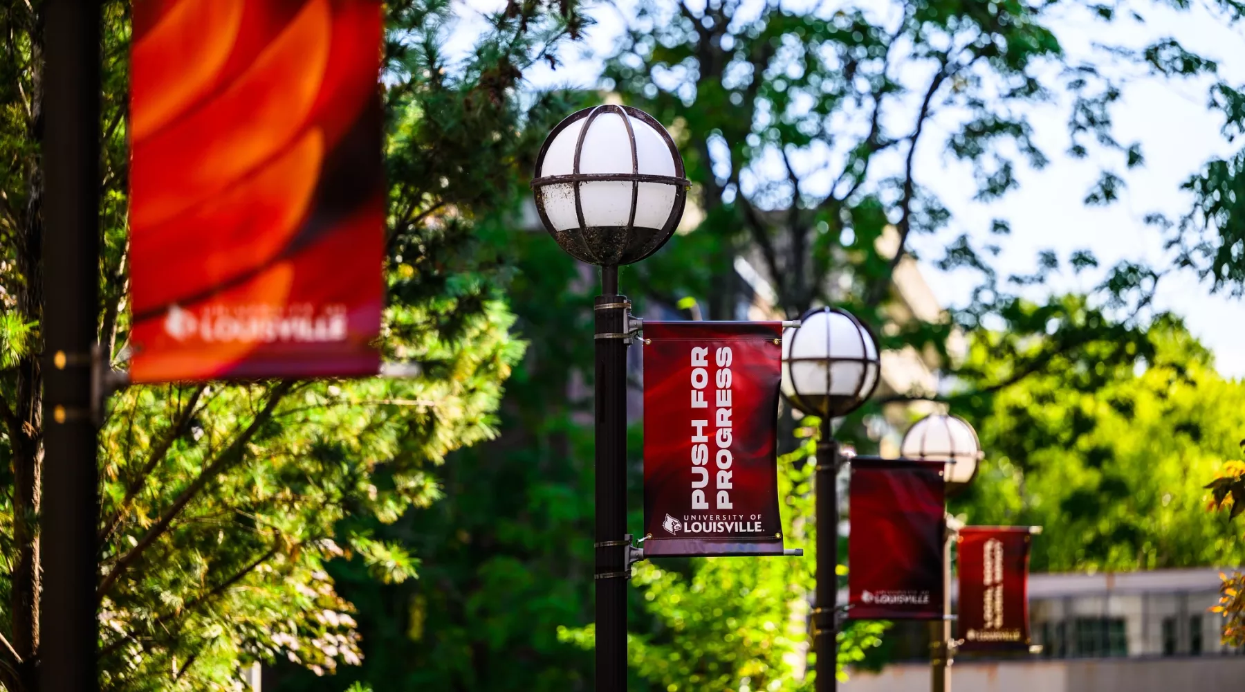 UofL banners on lamp posts on the HSC campus