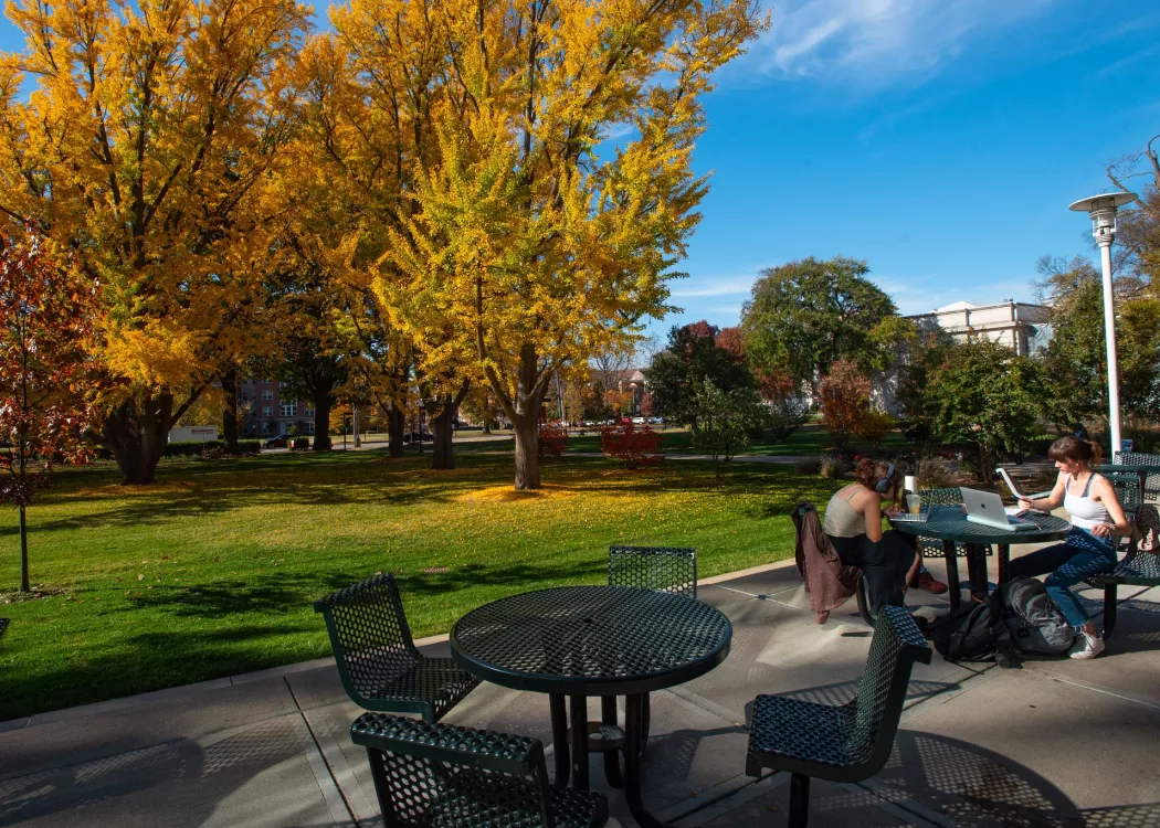 Students studying at a table during fall with lawn and foliage in the background.