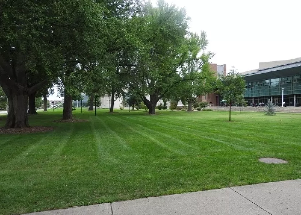 Library West Lawn