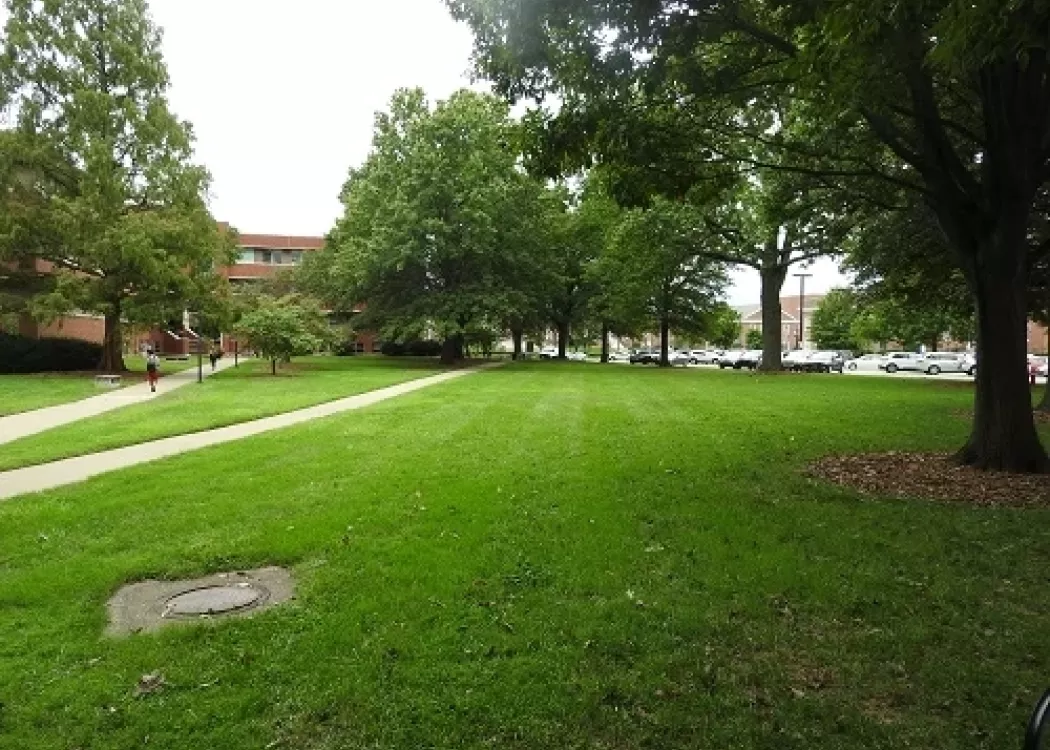Natural Sciences Lawn