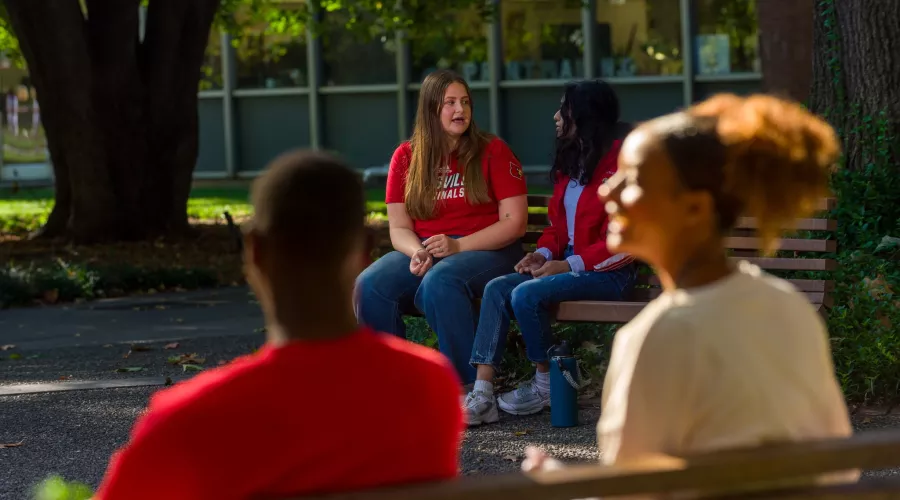 Two students talking on a bench in the background while two other students are in the foreground out of focus