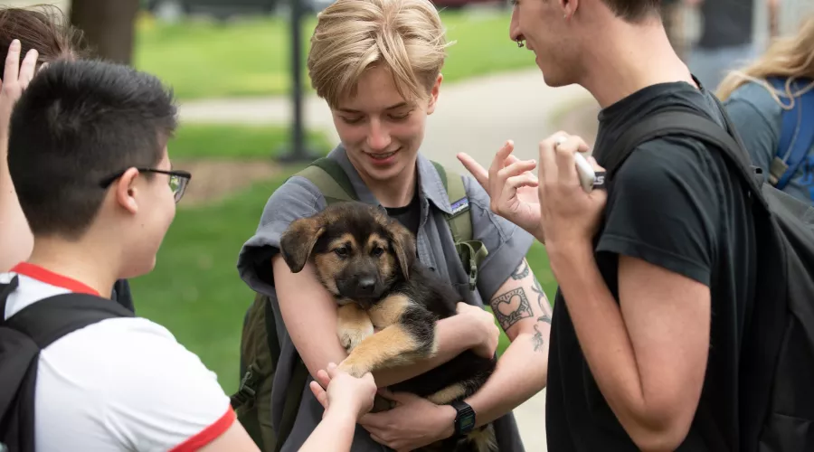 Students at the 2019 Self Care Fair were able to interact with puppies