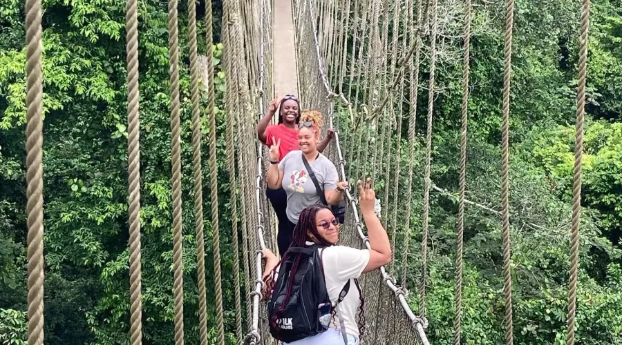 Crossing a rope bridge in the jungle