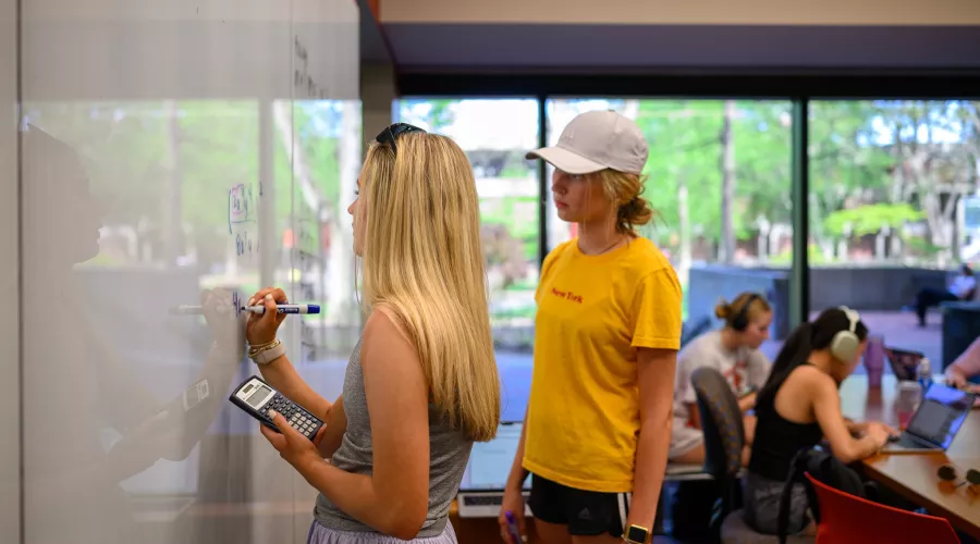 Students working in a study room in Ekstrom Library.