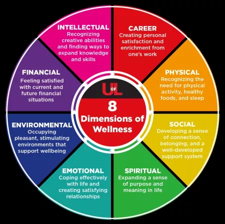 The eight dimensions of wellness. Career, Physical, Social, Spiritual, Emotional, Environmental, Financial, Intellectual.