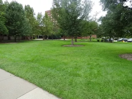 Lawn area outside of the School of Education