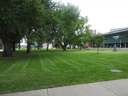 Library West Lawn